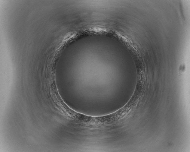 X0000092061009200709121350