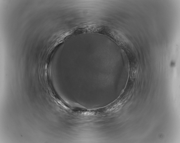 X0000092061010200709121350