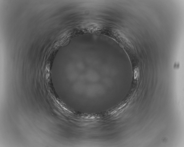 X0000092061011200709121350