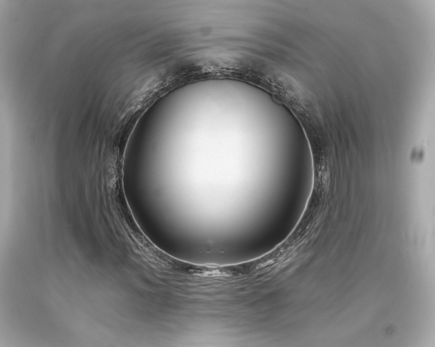 X0000092061012200709121350