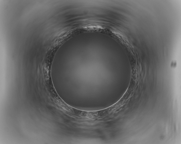 X0000092061013200709121350