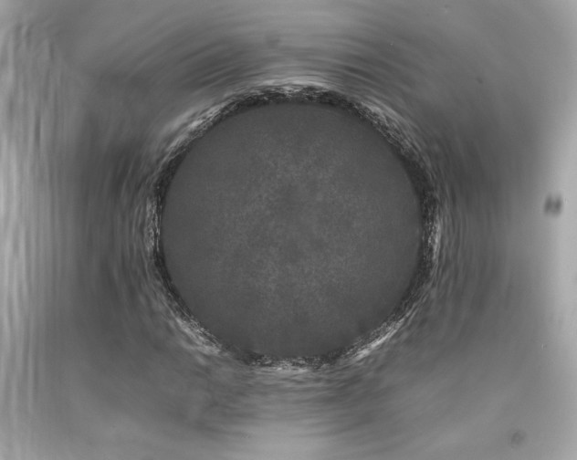 X0000092061014200709121350