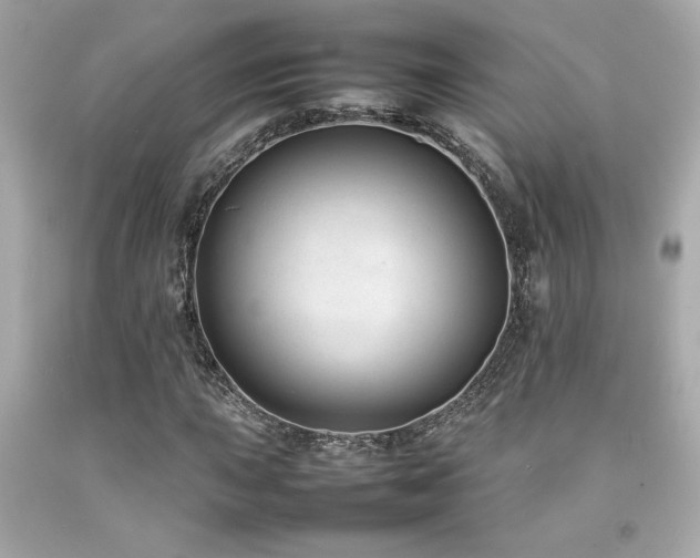 X0000092061015200709121350