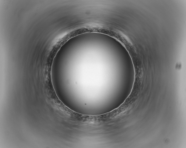 X0000092061016200709121350