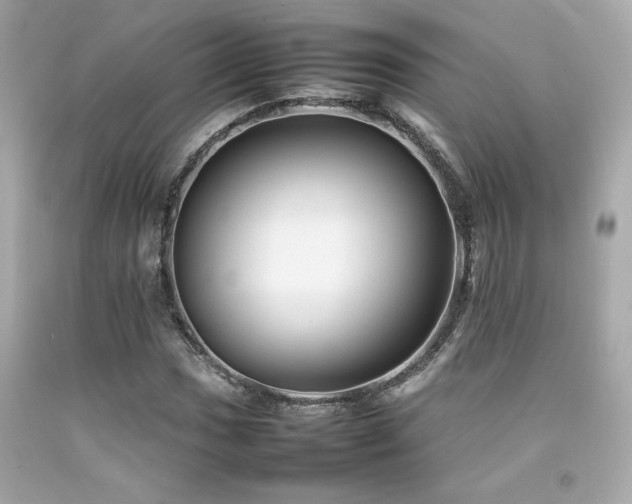 X0000092061017200709121350