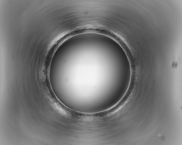 X0000092061018200709121350