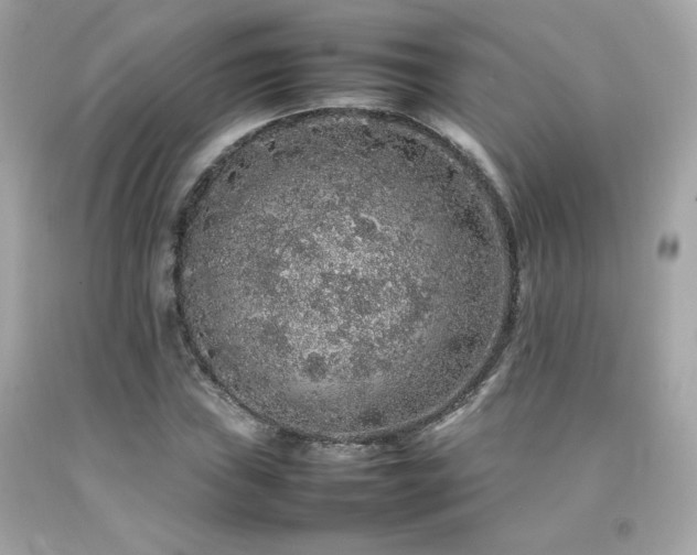 X0000092061019200709121350