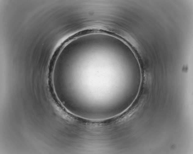 X0000092061020200709121350
