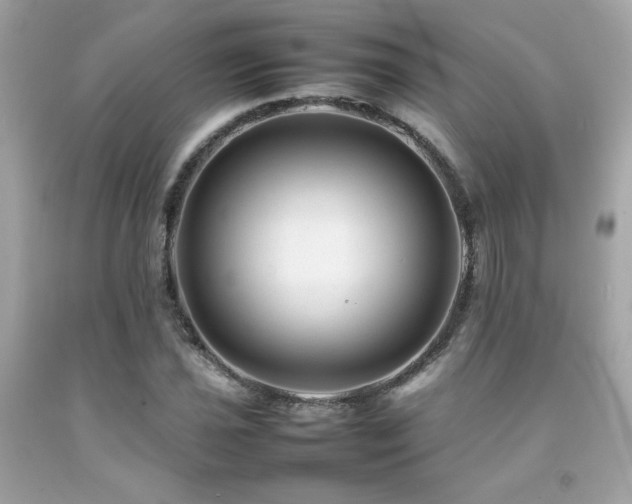 X0000092061021200709121350