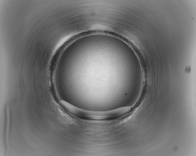 X0000092061022200709121350