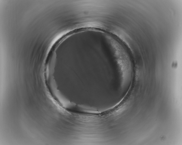 X0000092061024200709121350