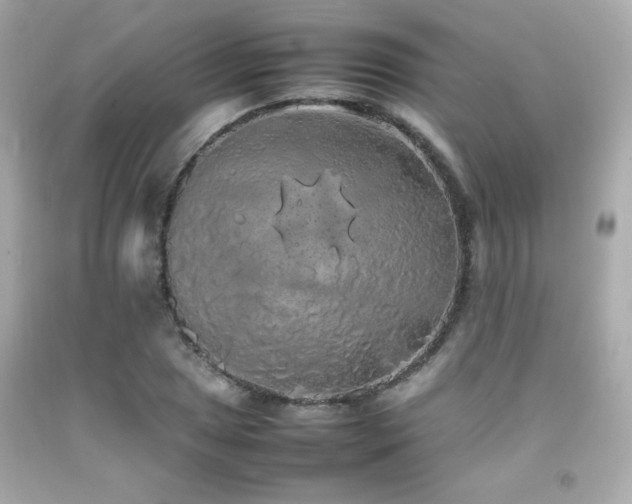 X0000092061025200709121350