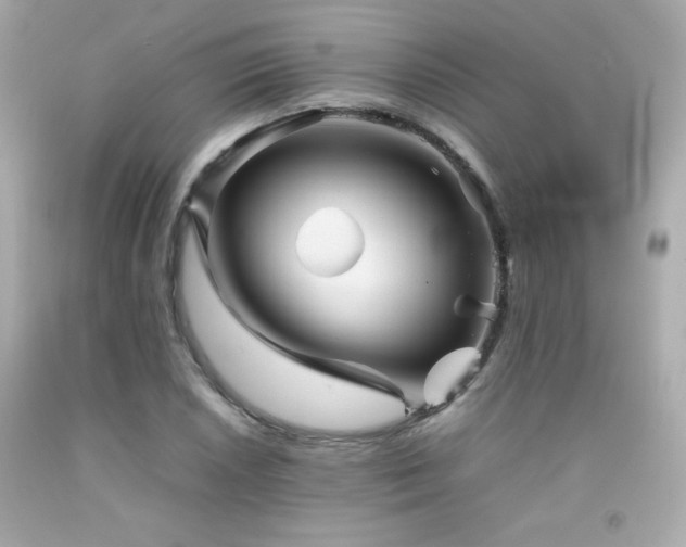 X0000092061026200709121350