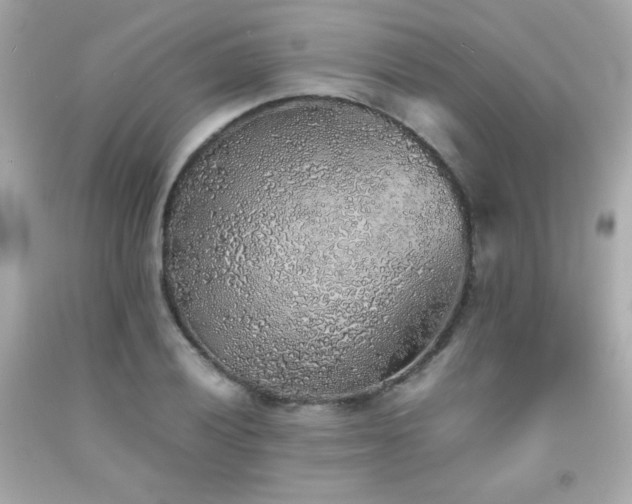 X0000092061028200709121350