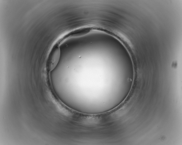 X0000092061029200709121350