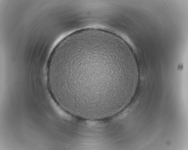 X0000092061032200709121350