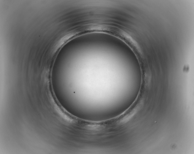 X0000092061033200709121350