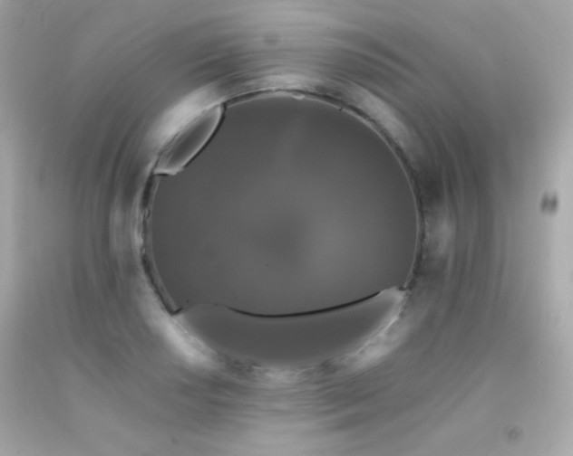 X0000092061034200709121350