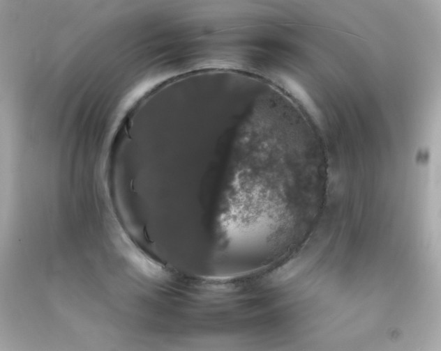 X0000092061035200709121350