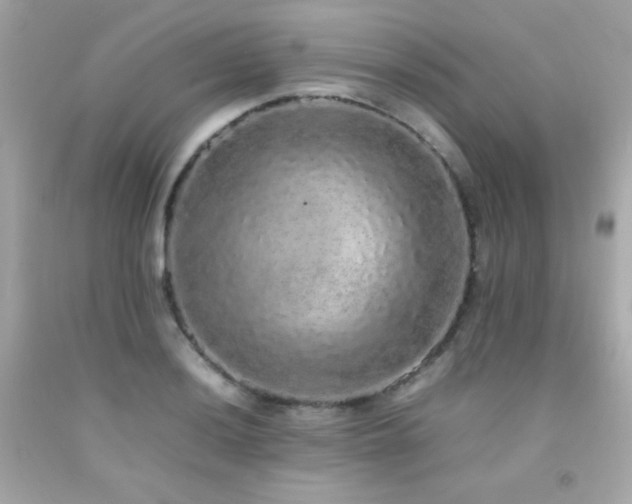 X0000092061036200709121350