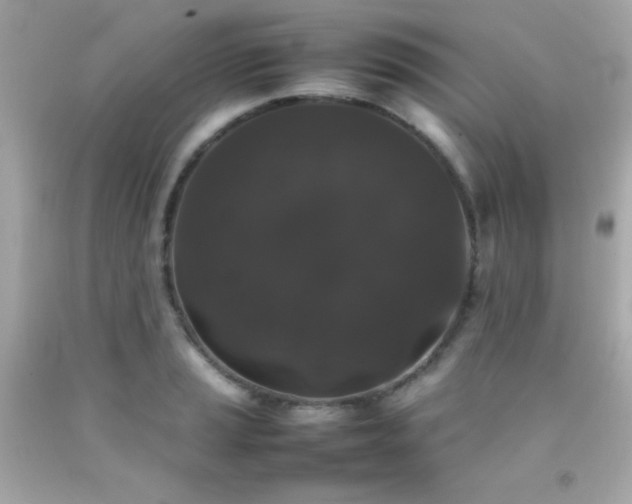 X0000092061037200709121350