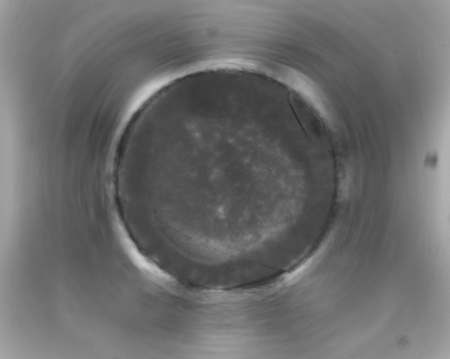 X0000092061038200709121350
