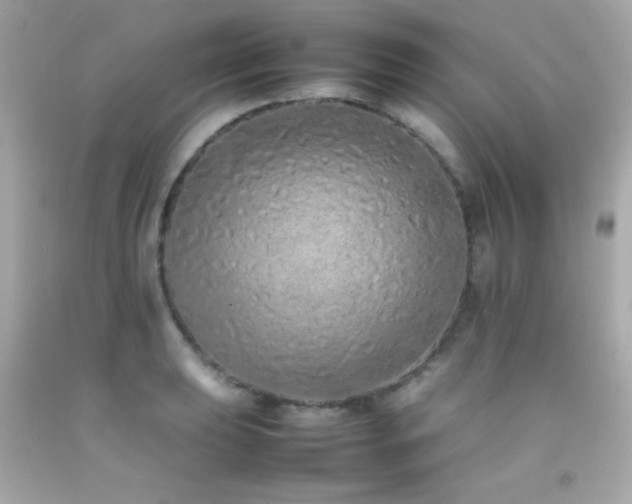 X0000092061039200709121350