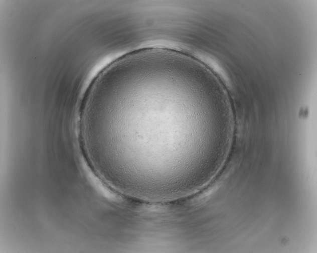 X0000092061040200709121350