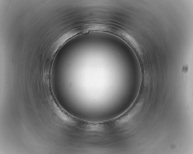 X0000092061041200709121350