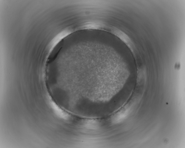 X0000092061042200709121350