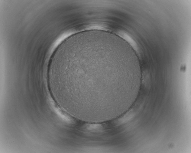 X0000092061043200709121350