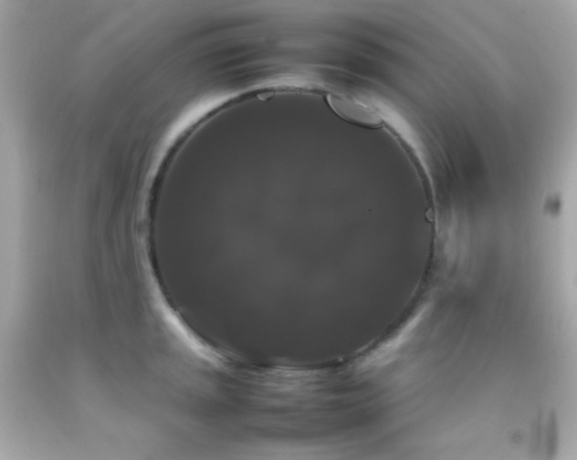 X0000092061045200709121350