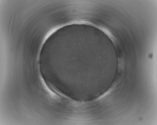 X0000092061046200709121350