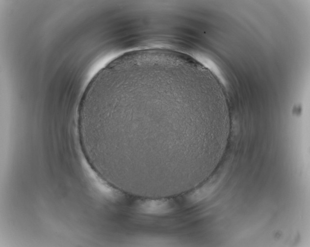X0000092061047200709121350