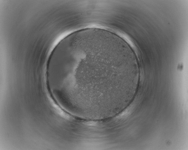 X0000092061048200709121350