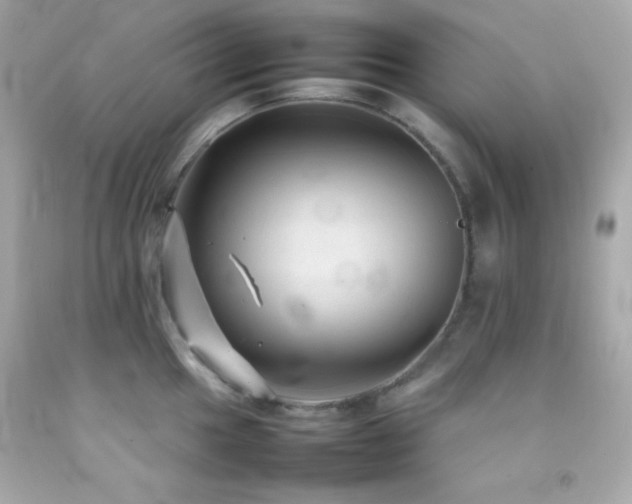 X0000092061049200709121350