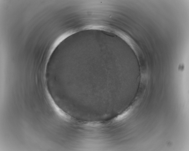 X0000092061050200709121350