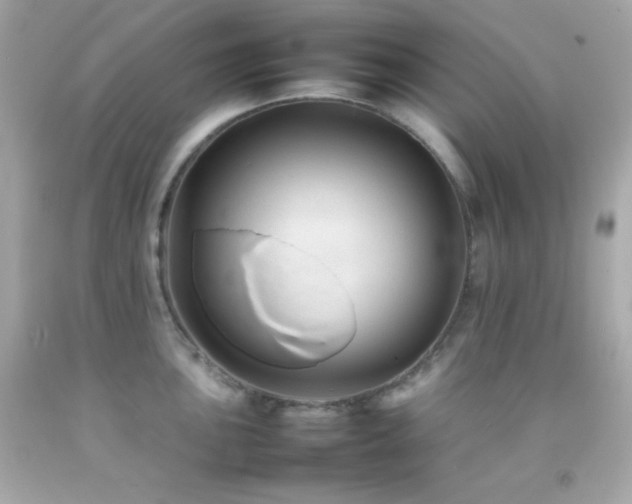 X0000092061051200709121350