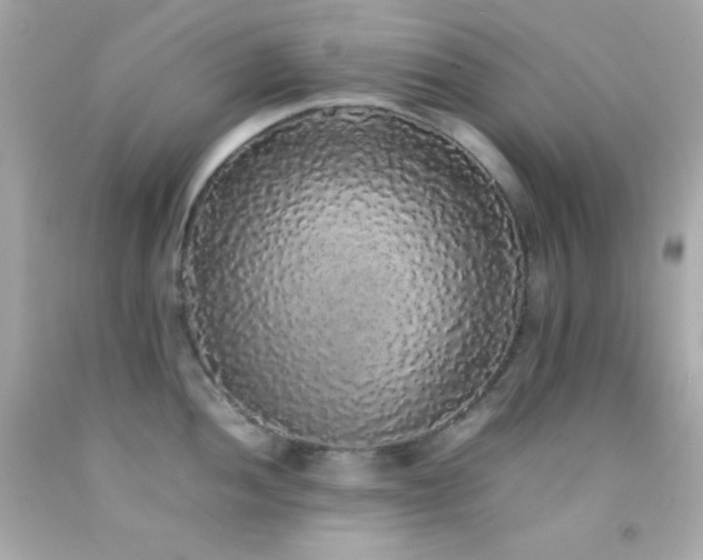 X0000092061052200709121350