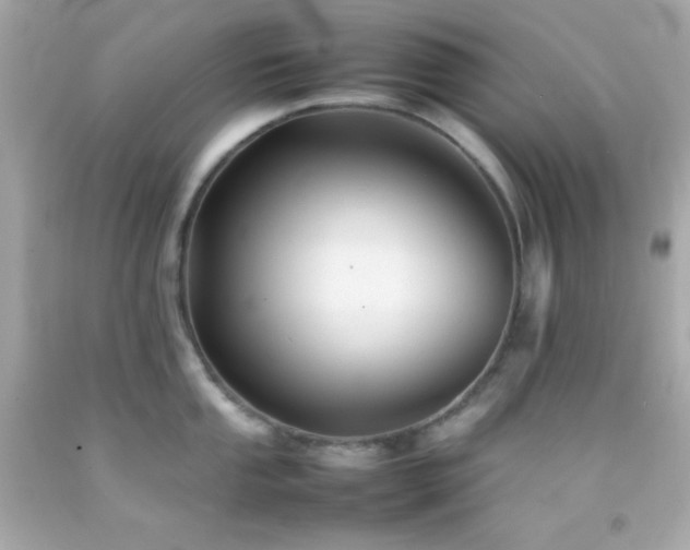 X0000092061053200709121350