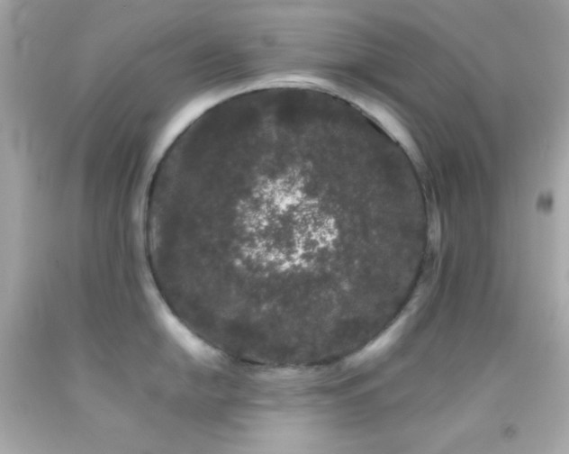 X0000092061054200709121351