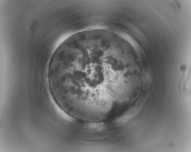 X0000092061055200709121351