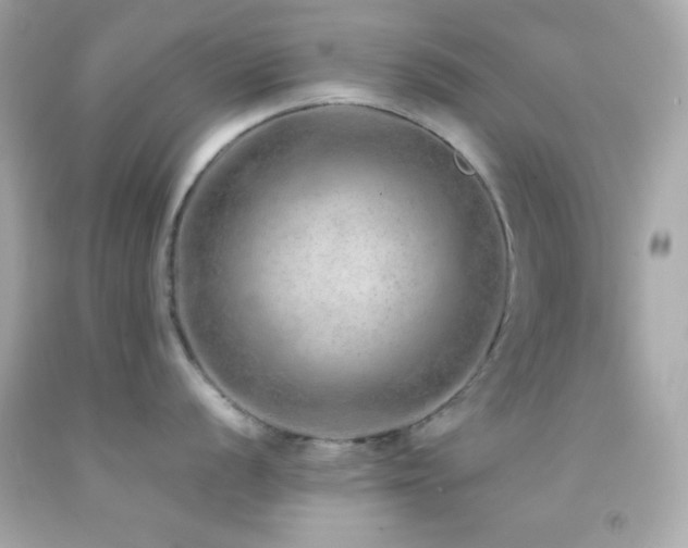 X0000092061056200709121351