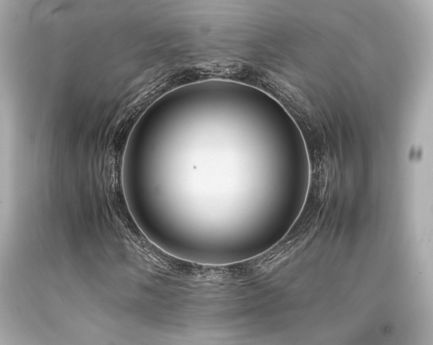 X0000092061058200709121350
