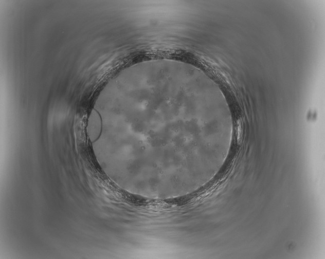 X0000092061059200709121350