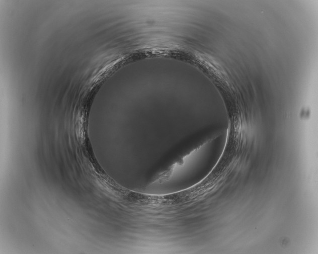 X0000092061060200709121350