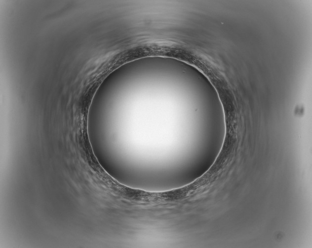 X0000092061061200709121350