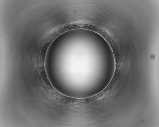 X0000092061062200709121350
