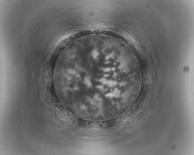 X0000092061063200709121350