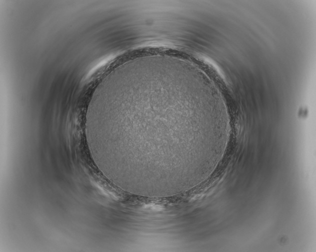 X0000092061064200709121350